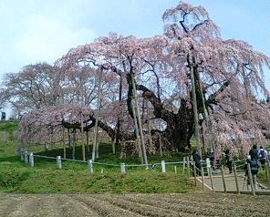 まさかの友こそ･･･