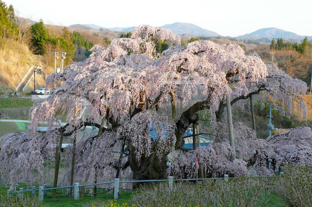 いま自分を励ますことばを